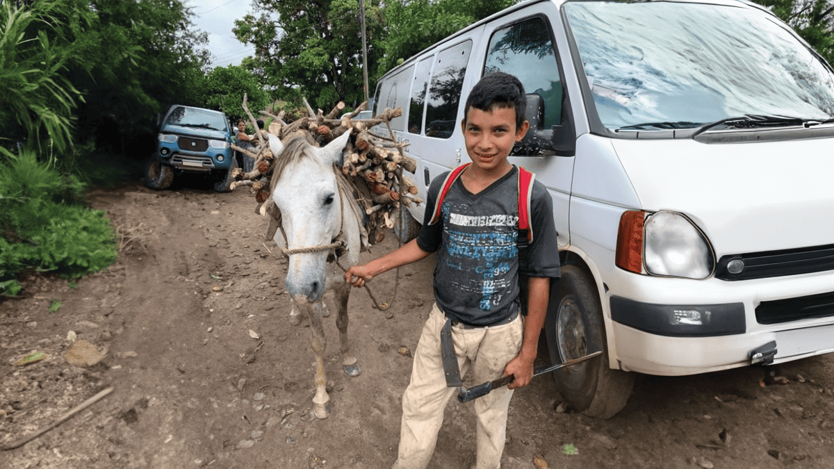 A young boy with a backpack stands smiling on a dirt road, holding the reins of a white donkey loaded with a bundle of firewood. Behind them, a white van and a blue off-road vehicle are parked on the side of the road, with lush greenery in the background.